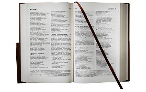 La Biblia Católica: Edición Letra Grande. Tapa Dura, Marrón, Con Virgen De Guada Lupe En Cubierta / Catholic Bible. Hard Cover, Brown, With Virgen #TOP1