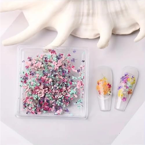 Powpop P245 3D Dried Flowers For Nails, Spring Flower Nail Art Stickers 1Box Dried Flowers For Resin Crafts Colorful Small Natural Floral Dried Flower Decals thumb #2