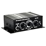 -Mini amplificateur de puissance audio HIFI.