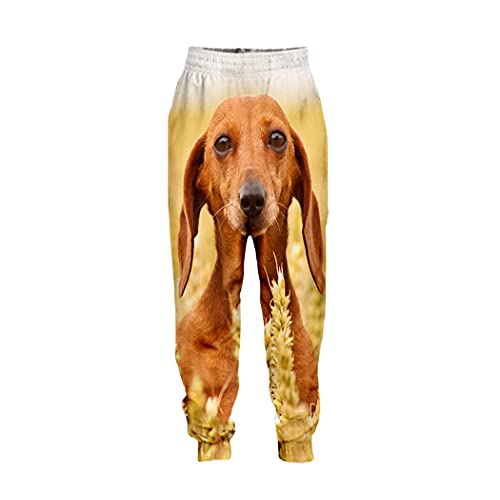Pantalon décontracté 3D imprimé teckel finies les tailles serrées avec le confort XXXXXL