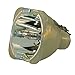 Lampedia Projector Lamp for EIKI EIP-X350