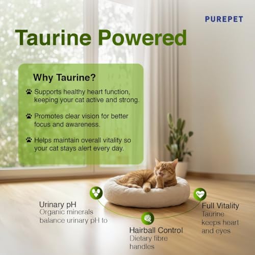 Image of Purepet Adult Dry Cat Food 1kg Pack | Chicken & Vegetable Flavour | Prevents Hairballs | Supports Heart Function | Promotes Skin Wellness | Enriched with Taurine