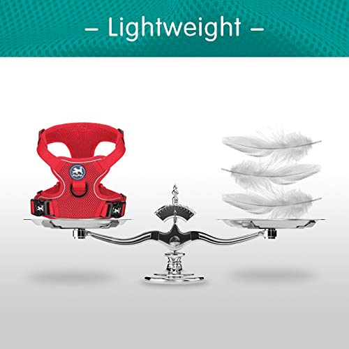 Poypet Reflective Soft Breathable Mesh Dog Harness Choke-Free Double Padded Vest With Adjustable Neck And Chest(Red,L) #TOP4