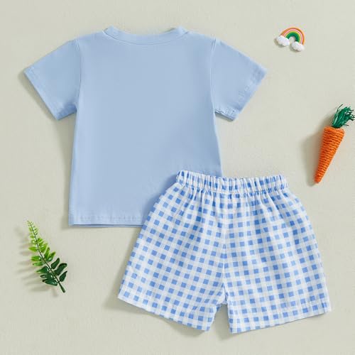 Image of Toddler Baby Boy Easter Rabbit Outfit Short Sleeve Bunny Carrot Smocked T-shirt Elastic Waist Shorts Summer Clothes