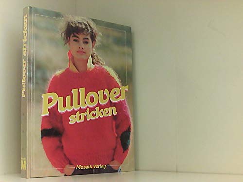Preisvergleich Produktbild Pullover Stricken
