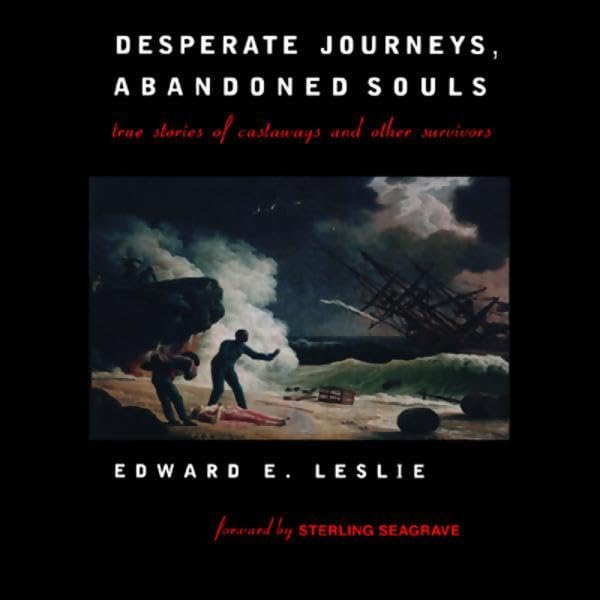 Cover art for Desperate Journeys, Abandoned Souls