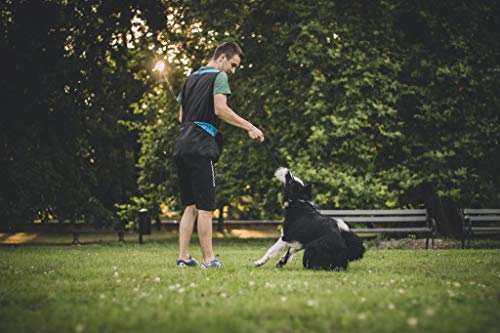 Dingo Hundetrainingsweste für Sport, Agility, Apportieren, Gehorsam, Wasserdicht, Viele Taschen für Spielzeug und Snacks, 2-Wege-Reißverschluss, Kordelzug an der Taille Grün Große XL 16413-2