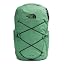 Dimmed Algae/Tnf Black