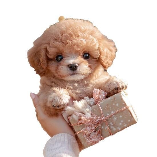 YOSEDVCB 2025 Neuer KI-Roboterhund, Realistischer KI-Roboterhund, Interaktiver Plüschhund for Erwachsene, Der Sich Wie EIN Echter Welpe Verhält – Gehen, Bellen, Schwanzwedeln(B#Brown)