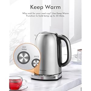 Temp Control Electric Tea Kettle, 1.7L Stainless Steel Water Boiler & Heater, Fast Boiling 1500 Watts, Cordless Kettle with Auto Shutoff, BoilDry Protection, LED Light, Silver Temp Control Electric Tea Kettle 17L Stainless Steel Water Boiler Heater Fast Boiling 1500 Watts Cordless Kettle with Auto Shutoff BoilDry Protection LED Light Silver