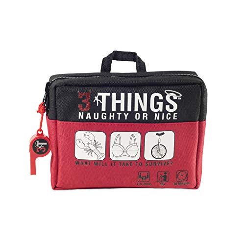 Shenanigames adult party games: 3 Things Naughty & Nice – Bring Out the Best & Worst in You – Choose Your own Level of NSFW – Adaptable for Work, College Parties, Family Gatherings, Bars & Game Nights