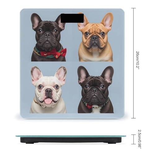 Báscula digital para baño estilo Bulldog francés miniatura 2