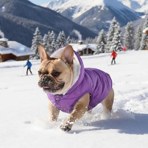Veste chaude pour chien SAWMONG imperméable violet pour chiot actif - 7
