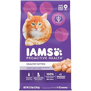 IAMS Proactive Health Healthy Kitten Dry Cat Food with Chicken, 3.5 lb. Bag