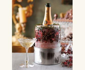 Napa Style Champagne Chiller and Ice Mold Kit