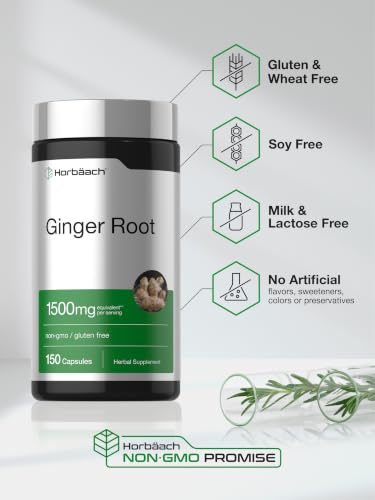 Horbäach Ginger Root Extract Supplement