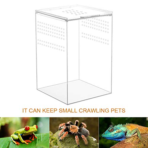Naneezoo Magnetic Acrylic Reptile Cage, 6 Inchx6 Inchx9 Inch Tall Enclosure Transparent Reptile Breeding Box Terrarium Tank For Tarantula Scorpion Sling Isopods Invertebrates Insect Mantis thumb #3
