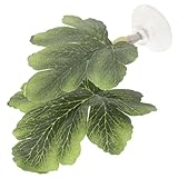 Feuille de repos pour poissons betta : offre un espace polyvalent permettant aux poissons betta de construire des nids, de se reproduire, de jouer et de se reposer. décoration végétale très utile, lit de reproduction pour betta