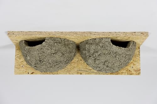 Mehlschwalbendoppelnest Schwalbennest Nistkasten Nisthilfe Mehlschwalbennest (1)