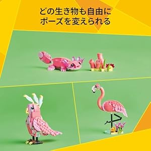 Amazon.co.jp - レゴ® クリエイター どうぶつ:ピンクフラミンゴ 31170