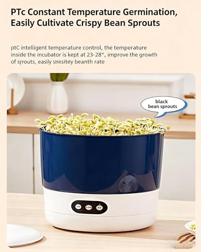 Machine de germination de haricots pour éviter les pousses ratées