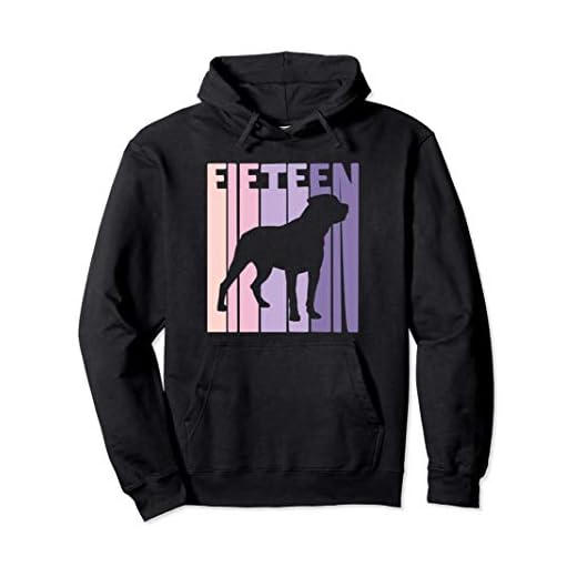 15 Años Cumpleaños Retro Rottweiler Chicas Niña Sudadera con Capucha