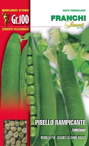 Franchi sementi sementi di qualità di piselli nani, mezza rama, rampicanti in confezioni varie (rampicante telefono, 100 grammi)