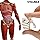 Be Amazing! Toys Interactive Human Body - Adult, Multicolor