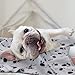 EAGMAK Cute Dog Cat Fleece Blankets with Paw Prints for Kitten Puppy and Small Animals Pack of 6 (Black, Brown, Blue, Grey, red and White)