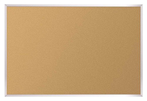 Valu-Tak Series Wall Mounted Bulletin Board Size: 4