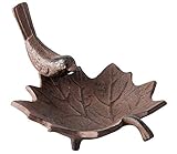 Fallen Fruits FB152 Petit Bain d'oiseau Fonte...