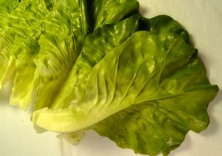 Allstate Floral Artificial Fake Faux Lettuce Leaves Bag 6