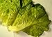 Artificial Fake Faux Lettuce Leaves Bag 6