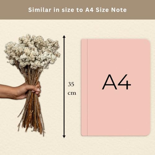 Image of Himalayan Daisy Dried Flowers | Natural Dried Blooms| 70 Grams | Naturally Preserved, Delicate & Everlasting | Perfect for Home Decor, Floral Arrangements, Bouquets & DIY Crafts(White)