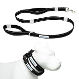 Shed Defender Mag-Snap Dog Leash 5 ft. Wearable Magnetic Leash, Designed in The USA, Attaches to Any