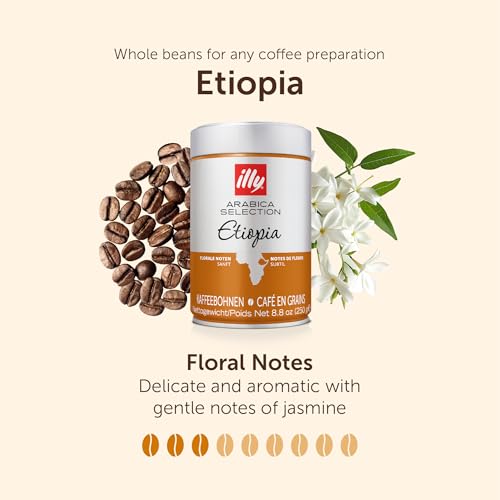 illy Ethiopia Coffee Beans, 100% Arabica, Ideal for Moka Pots, Espresso & Filter, 250g Tin