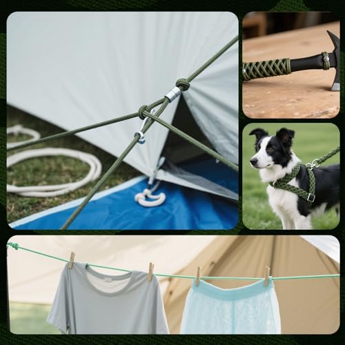 Cozary 10 Farben 19ft/6m Paracord 4mm, Paracord Set 7 Kern Strängen Nylonseil, Hält bis zu 250kg, Ideal für Outdoor Survival Camping Basteln Armband Hunde-Leine, Gesamtlänge 196ft