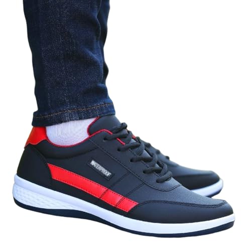 [Kaocee] Xj[J[ Y h JWAV[Y JWAXj[J[ [XAbv L EH[LOV[Y y 傫 ₷  vC ^C J΍ ʋ ʊw amC  rWlX  h Y