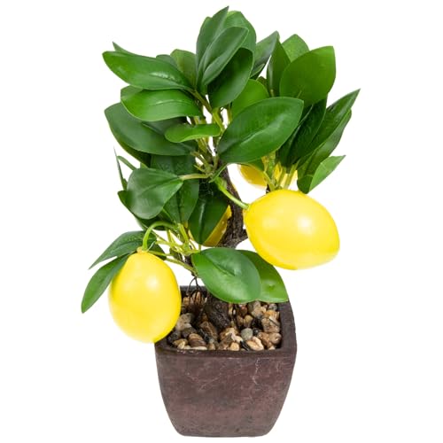 lurrose �l�H�������~�� �V�~�����[�V�����v�����g ���A���̃������̖� �t�F�C�N�ϗt�A�� �ʐ^�B�e�p������ �Q�� ���r���O���[�� ��������