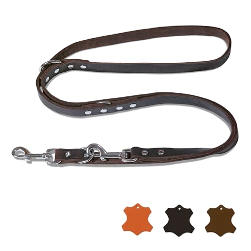 FREUDENTIER Hundeleine Leder 2m - Lederleine verstellbar - Führleine aus zertifiziertem Fettleder für kleine, mittelgroße & große Hunde - Alsterufer Kollektion