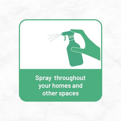 Image of Born Good Plant Based Air freshener Spray for Home And Office, Indian Summer Fragrance, Biodegradable and Non-Toxic - 500 ml