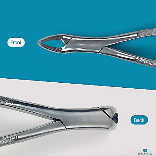 Dexa Dental Heavy Duty Dental Extracting Forceps # 151 Apical Forcep #TOP3