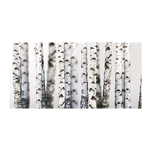 Art mural Tulup tirages sur toile 100x50 cm de haute qualité sur les plantes blanches