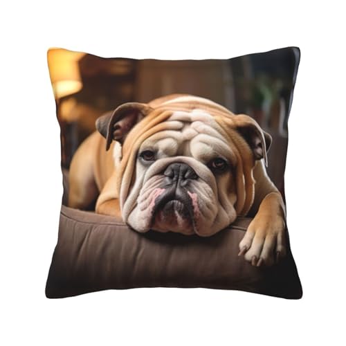 zkyfll Kissenbezug mit Druck englische Bulldogge, quadratische Sofakissen, 40 x 40 cm