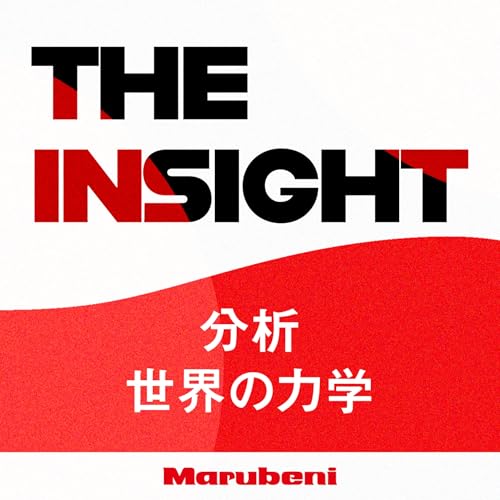 『THE INSIGHT ～分析 世界の力学～』のカバーアート