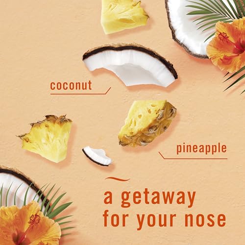 Image of Febreze Bathroom Air Freshener, Odor-Fighting, Plug In Alternative, Air Fresheners for Small Spaces in Home, Bathroom, Kitchen, & Closet, Pet & Litter Box Odor Fighter, Hawaiian Aloha Scent, 4ct