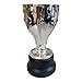SUNIFA Spanish Soccer League Champions Trophy Replica Football Championship Award Cup Collectibles Fans Souvenir Gifts Home Office Desktop Decoration,15cm