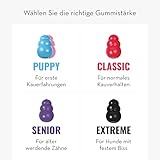 KONG Classic - Füllbares Hundespielzeug - Apportier- und Kauspielzeug für Hunde - Kann Mit Leckerlis Gefüllt Werden - Strapazierfähiges Naturkautschukmaterial - Für Extra-Große Hunde