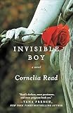 Invisible Boy (The Madeline Dare Novels Book 3)