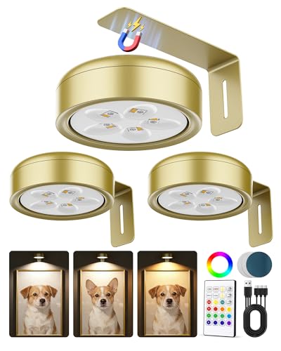 3 Pack Picture Lights for Wall Wireless 2000mAh Rechargeable Magnetic LED Puck Lights with Remote 3 Color Temps and 12 RGB Dimming & Timer Art Frame Light for Painting Display Photos Wall Decor